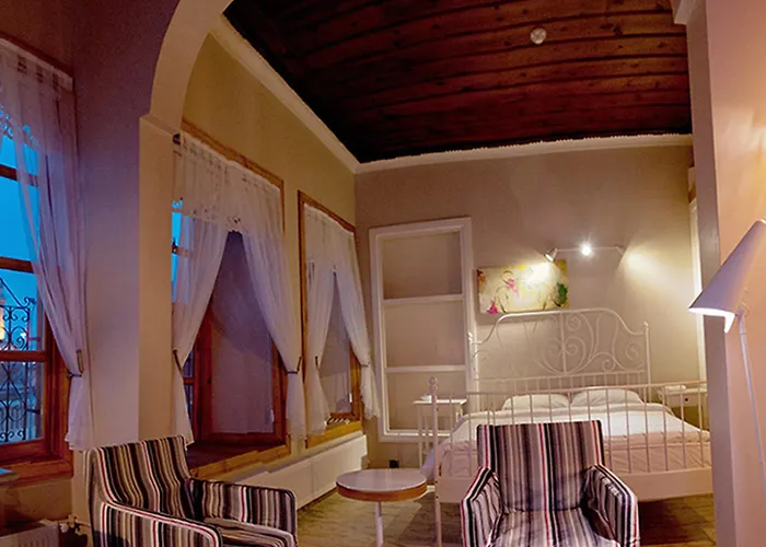 酒店 科尼亚高酒店 科尼亚