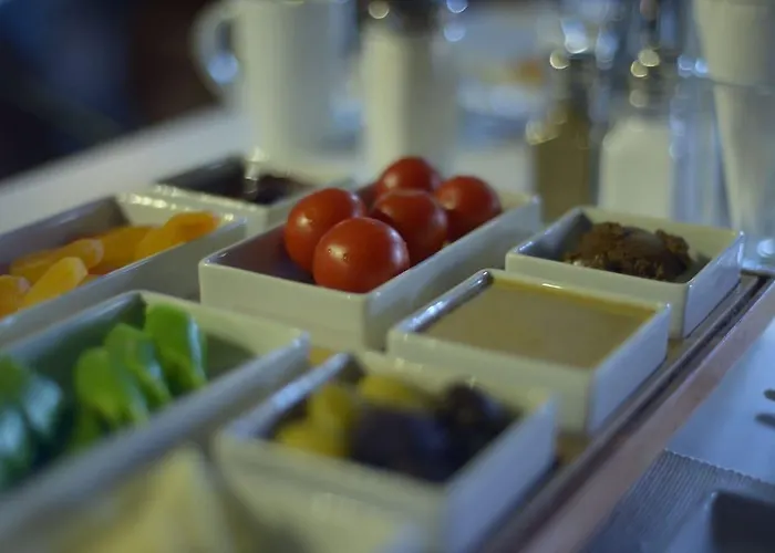 科尼亚高酒店 酒店