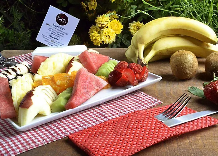 酒店 科尼亚高酒店