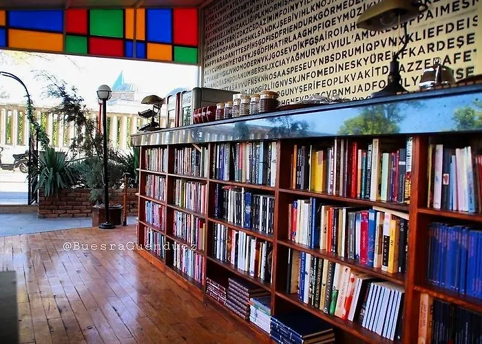 酒店 科尼亚高酒店 3*