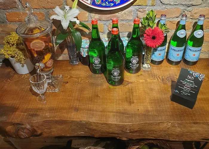 科尼亚高酒店 酒店