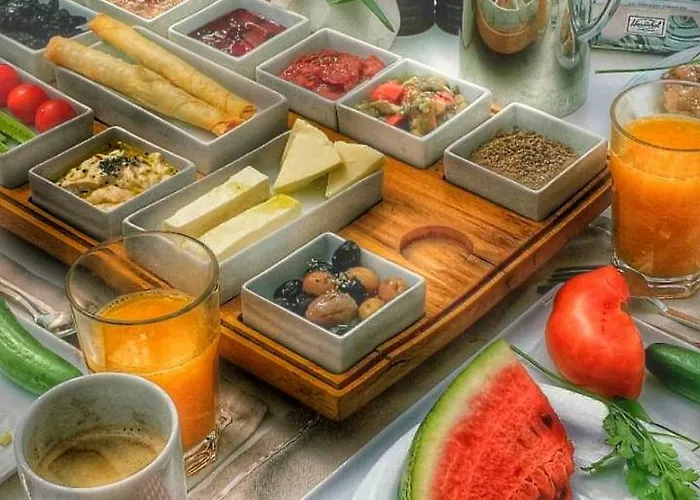 酒店 科尼亚高酒店